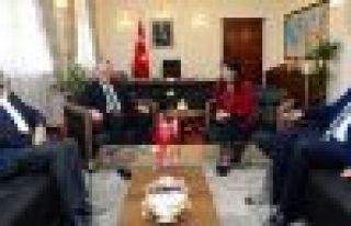 Başbakan yardımcısı Akdoğan'dan 'izleme heyeti'...