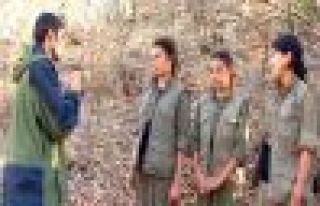 Başkale'de 3 öğrenci PKK'ye katıldı