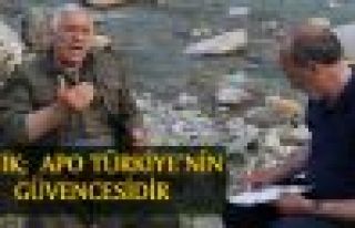 Bayık: Silahları neye göre bırakalım?