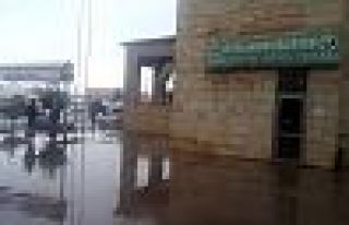 Baykan ve Veysel Karani belediyelerine operasyon