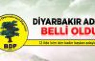 BDP 63 kadın adayını açıkladı