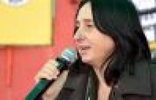 BDP askerdeki şüpheli kazaları Meclis'e taşıdı