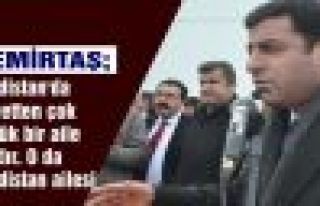 Demirtaş: 'Kürdistan'da aşiretten çok büyük...
