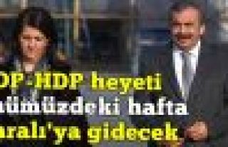 BDP-HDP heyetinin İmralı görüşmesi haftaya kaldı