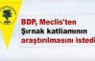BDP, Meclis'ten Şırnak katliamının araştırılmasını...