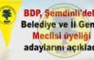 BDP, Şemdinli'deki Belediye ve İl Genel Meclisi...