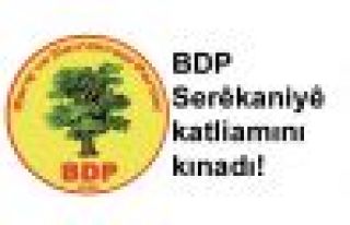 BDP Serêkaniyê katliamını kınadı