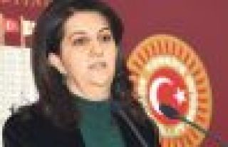 BDP, TSK'nın Rojava'ya saldırısını Erdoğan'a...