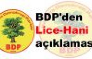 BDP'den Lice-Hani açıklaması