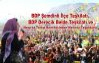 BDP'den Newroz teşekkürü