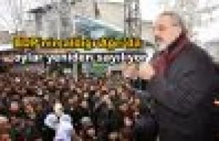 BDP'nin aldığı Ağrı'da oylar yeniden sayılıyor