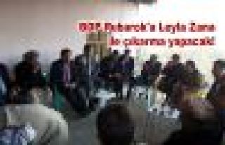 BDP'nin Derecik'te seçim çalışmaları sürüyor!