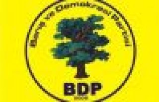BDP'nin seçim konvoyuna saldırı