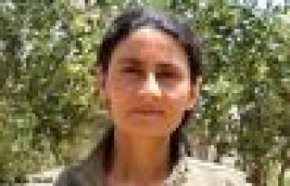 Besê Hozat: 30 Mart özerkliğin referandumudur