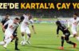 Beşiktaş, Çaykur Rizespor'la 2-2 Berabere Kaldı