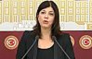 Beştaş: Öcalan'ın mesajı doğru okunmalı