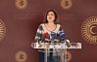 HDP'li Beştaş: 'Hiç kimse Kürt sorununu araçsallaştırmasın'