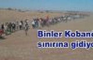 Binler Kobanê sınırına gidiyor