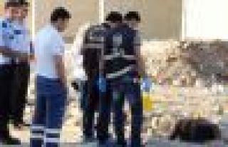 Bir kadın vahşi şekilde öldürülmüş halde bulundu