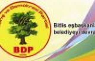 Bitlis eşbaşkanları belediyeyi devraldı