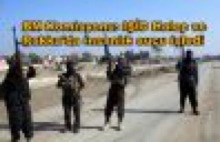 BM Komisyonu: IŞİD Halep ve Rakka'da insanlık suçu...