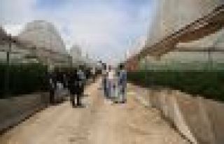 BM raporu: Kürt işçiler ırkçı saldırıya uğruyor