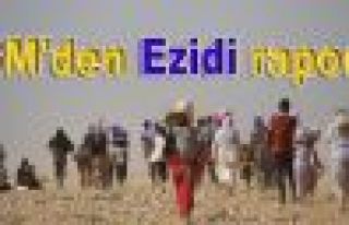 BM'den Ezidi raporu