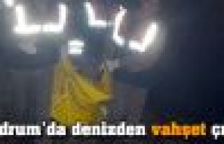 Bodrum'da denizden vahşet çıktı!