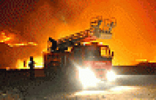 Bodrum'da makilik alanda yangın