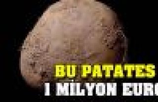 Bu patates 1 milyon euro!