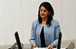 Buldan: Kürtler kaybedince Türkiye kazanmış mı...