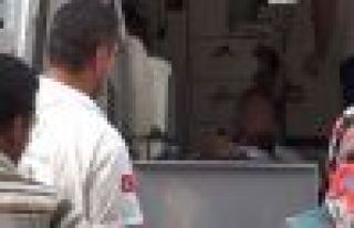 Bonzai bir genci daha komaya soktu