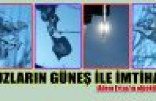 Buzların Güneş ile imtihanı