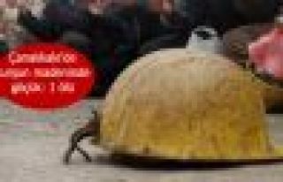 Çanakkale'de kurşun madeninde göçük: 1 ölü