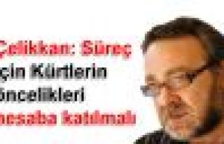 Çelikkan: Süreç için Kürtlerin öncelikleri hesaba...
