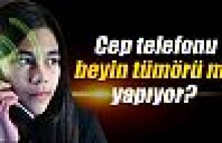 Cep telefonu-tümör ilişkisi mahkeme kararıyla...