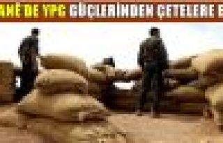 Çetelere yönelik eylemler sürüyor