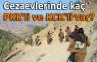 Cezaevlerinde kaç PKK'li ve KCK'li var?