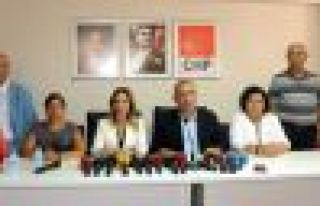 CHP Heyeti: 'HDP'nin kapatılması kabul edilemez'