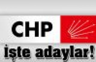 CHP, milletvekili adaylarının profillerini açıkladı
