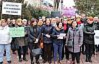 CHP ve HDP'li kadınlar, meclisteki saldırıyı protesto...