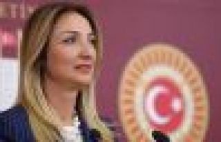 CHP'de Aylin Nazlıaka için ihraç istemi
