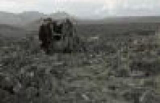 CHP'den Ağrı raporu: AKP'nin oy almasına dönük...