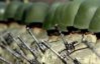 CHP'den er ve erbaşlara asgari ücret için kanun...