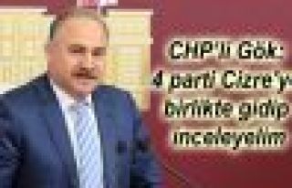 CHP’li Gök: 4 parti Cizre'ye birlikte gidip inceleyelim
