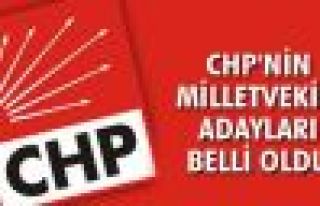 CHP'nin milletvekili aday listesi netleşti