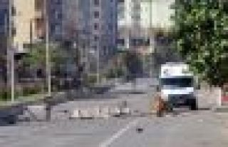 Cizre için uluslararası sağlık örgütlerine çağrı