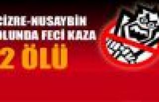 Cizre-Nusaybin Karayolunda Feci Kaza: 2 Ölü