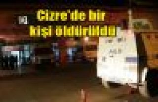 Cizre'de bir kişi öldürüldü