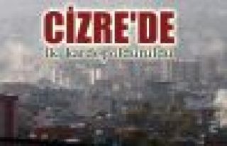 Cizre'de iki kardeş öldürüldü